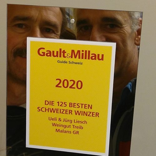 125 beste Schweizer Winzer von Gault&Millau